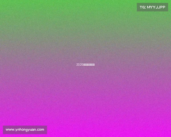 2020年武林风比赛视频