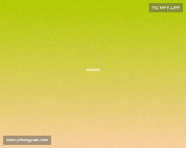 大赛团队介绍怎么写 大赛团队介绍怎么写